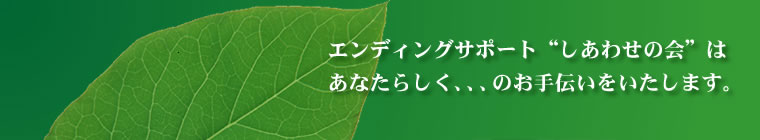 ���Ȃ��炵���̂���`�����������܂��B